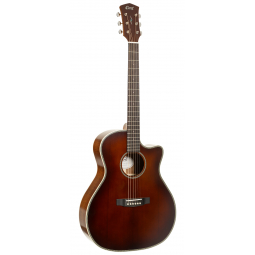 Essence-GA4 Special (Brown Burst Semi Gloss), зображення 1